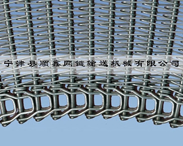 蚌埠冷冻传送式螺旋网带
