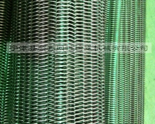 蚌埠高温不锈钢直轴型网带